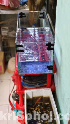 মাছের একুরিয়াম